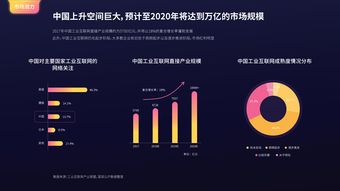 互聯網用戶與互聯網數據中心 199IT在數據服務中的角色與影響